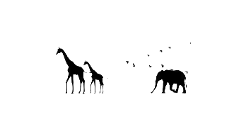 Herd Namibia