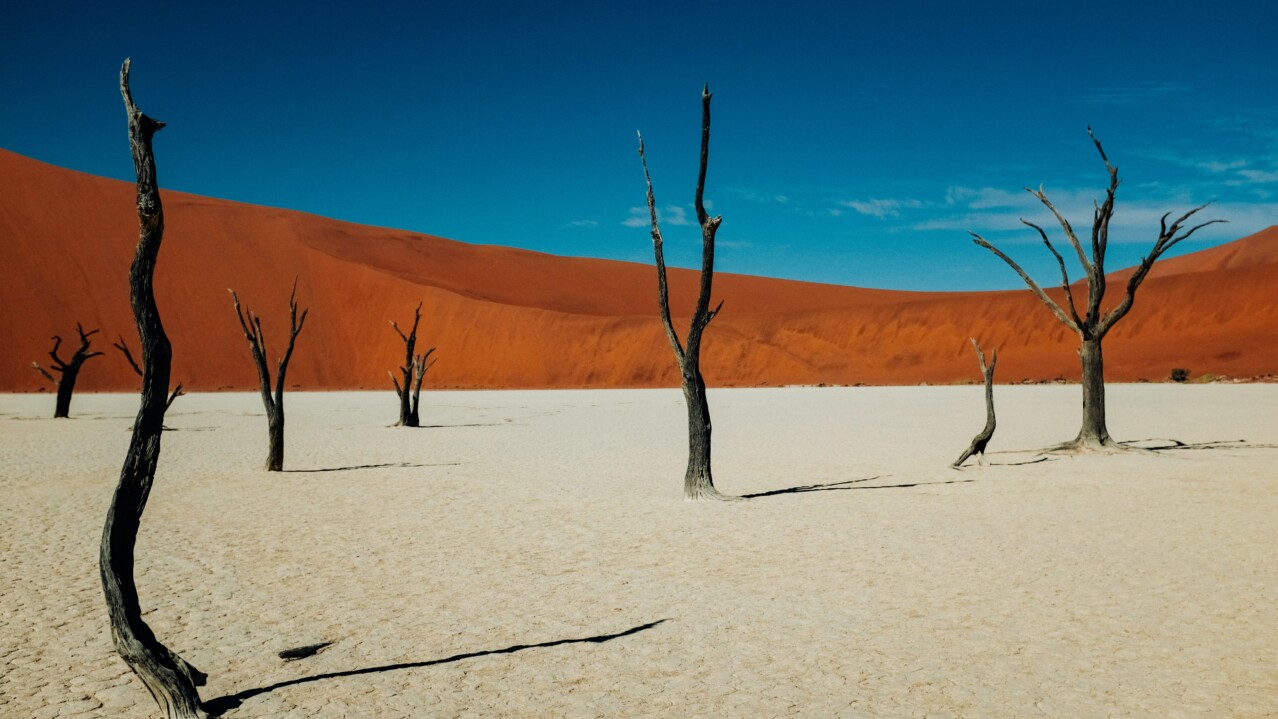 Deadvlei clay pan with dead camel thorn trees and red dunes