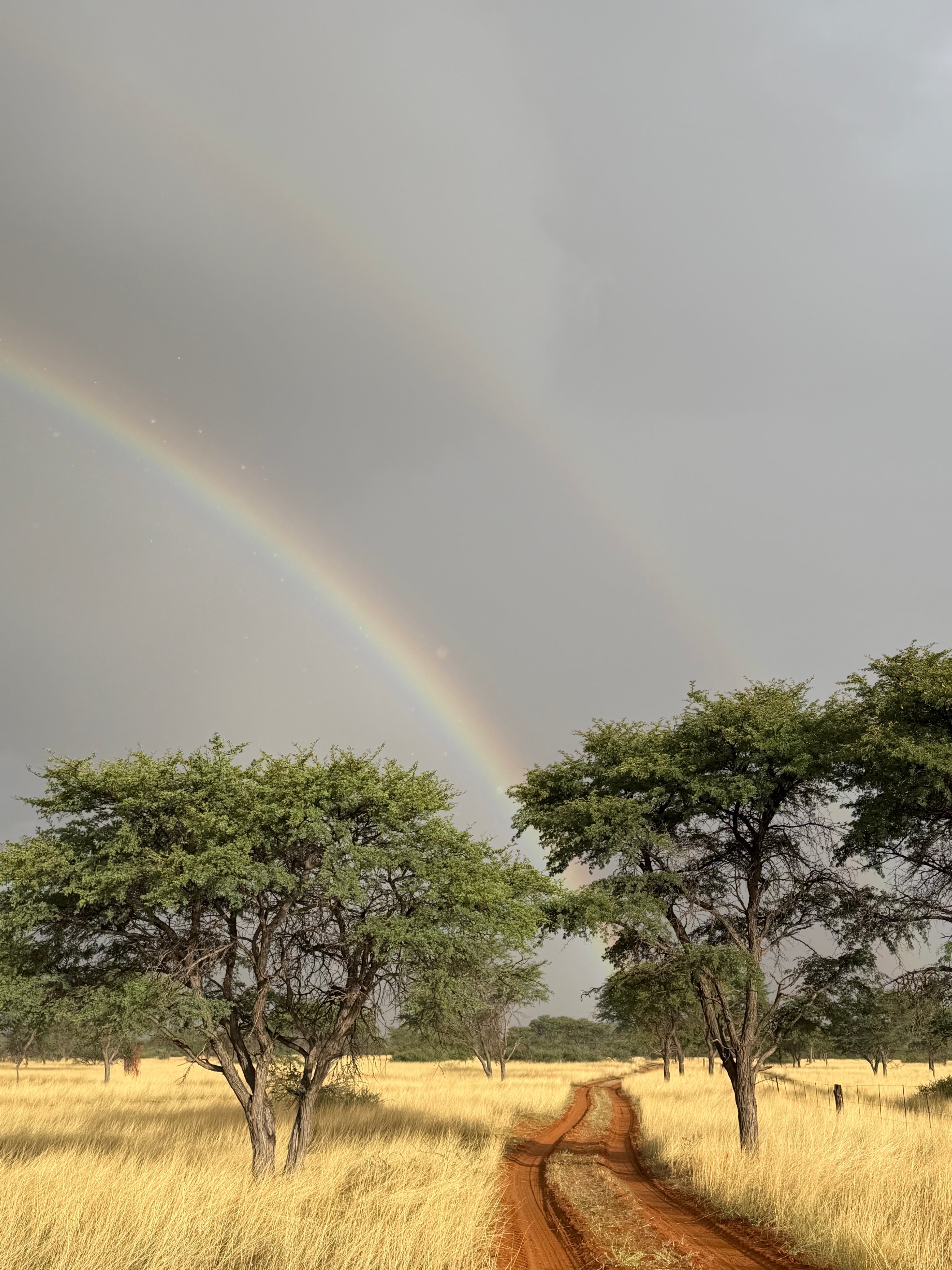 A rainbow over the red road and savanna at Zania farm